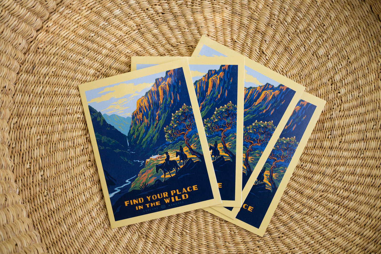 Find Your Place In The Wild notecards